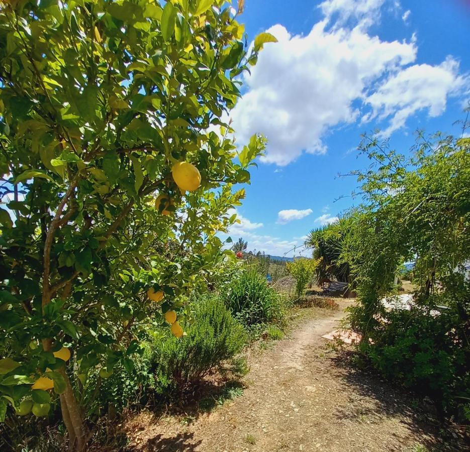 Vale De Garcia Al 5357 Villa Colos  Bagian luar foto